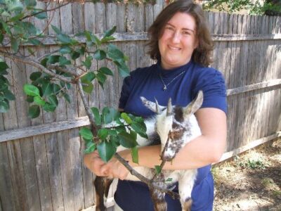 The Great Goat Rebellion Image